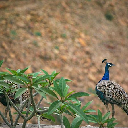 Open House By Stayvista - Nestled In Nature, Featuring A Swimming Pool & Expansive Lawn For A Serene Retreat Shikrapur Exterior foto